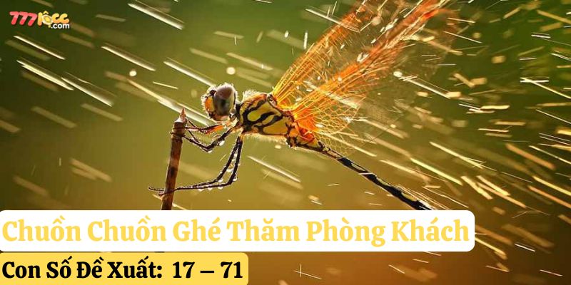 thấy chuồn chuồn bay vào nhà