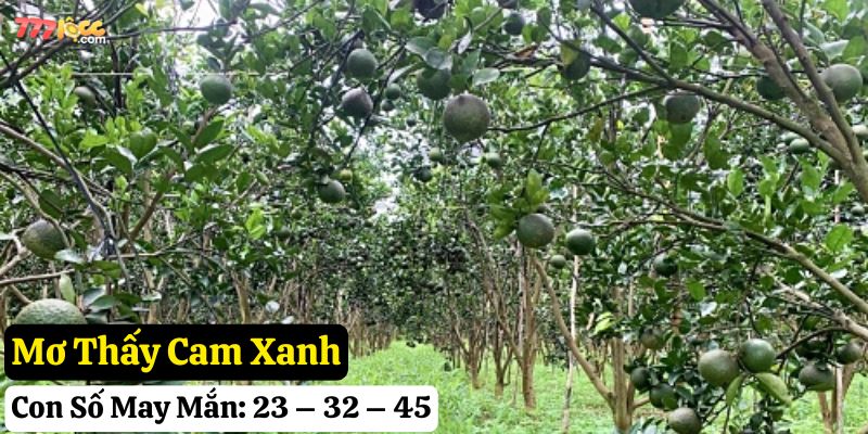 nằm mơ thấy quả cam