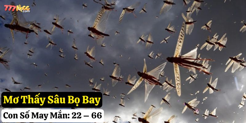 nằm mơ thấy sâu bọ