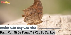 bướm nâu bay vào nhà đánh con gì 777loc thumb