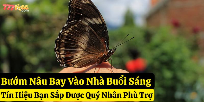 bướm nâu bay vào nhà đánh con gì 777loc