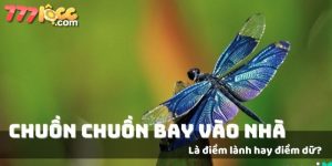 chuồn chuồn bay vào nhà 777loc thumb