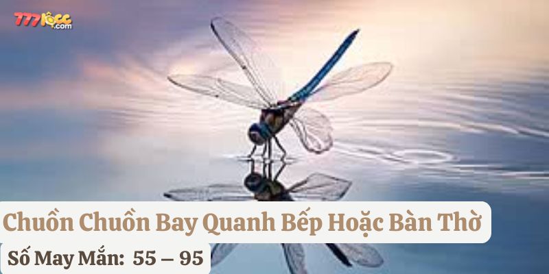chuồn chuồn bay vào nhà 777loc