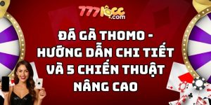 đá gà thomo 777loc thumb