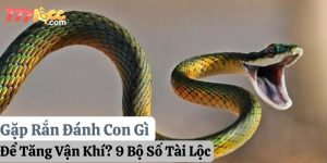 gặp rắn đánh con gì 777loc thumb