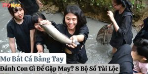 mơ bắt cá bằng tay đánh con gì 777loc thumb