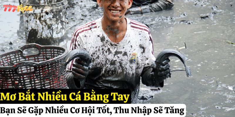 mơ bắt cá bằng tay đánh con gì