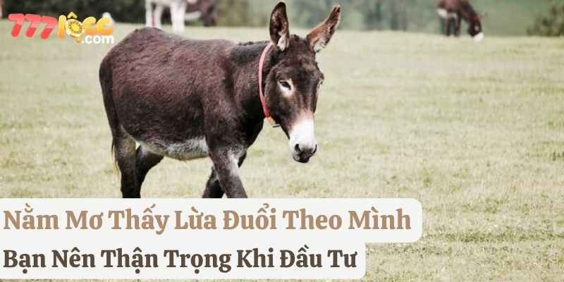 mơ lừa