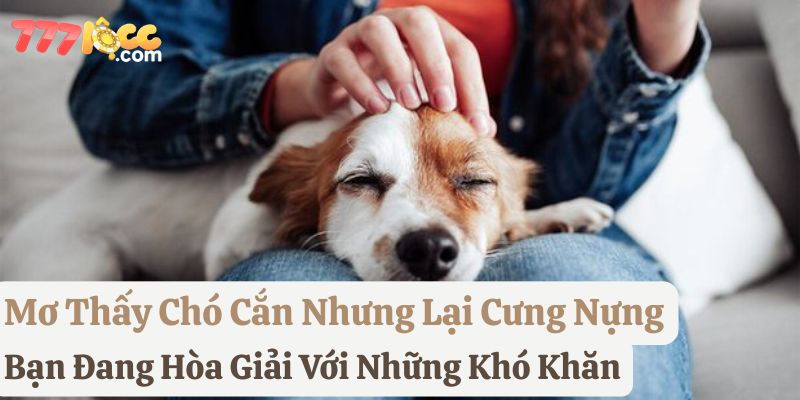 mơ thấy chó cắn