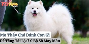 mơ thấy chó đánh con gì 777loc thumb