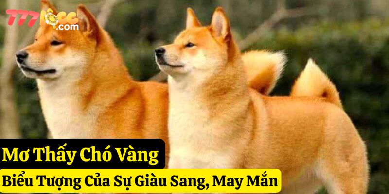 mơ thấy chó đánh con gì 777loc
