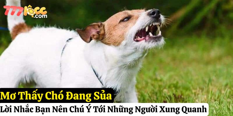 mơ thấy chó đánh con gì