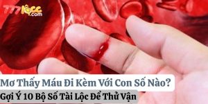 mơ thấy máu 777loc thumb