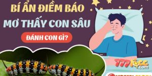 mơ thấy sâu bọ 777loc thumb