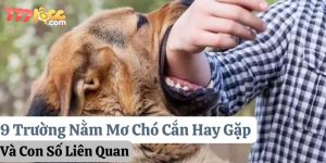 nằm mơ chó cắn 777loc thumb