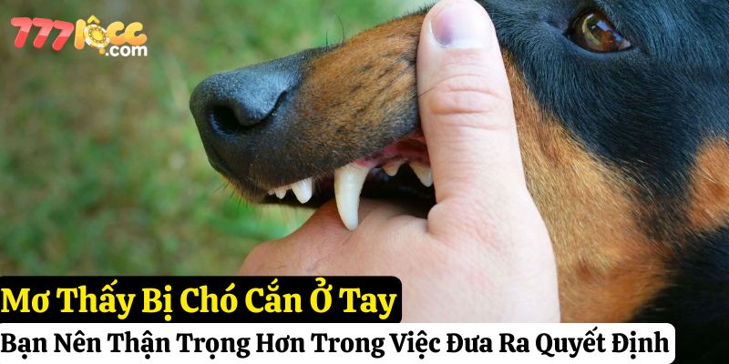 nằm mơ chó cắn