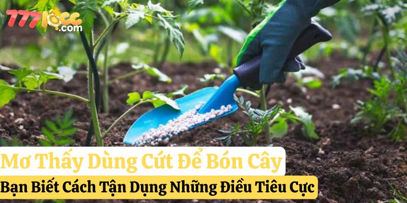 nằm mơ cứt