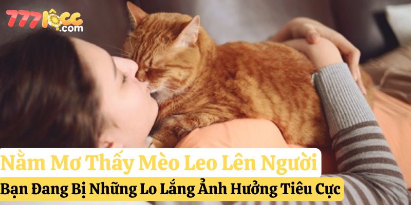 nằm mơ mèo