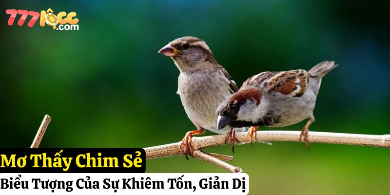 nằm mơ thấy chim đánh số gì