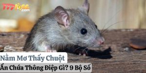 nằm mơ thấy chuột 777loc thumb