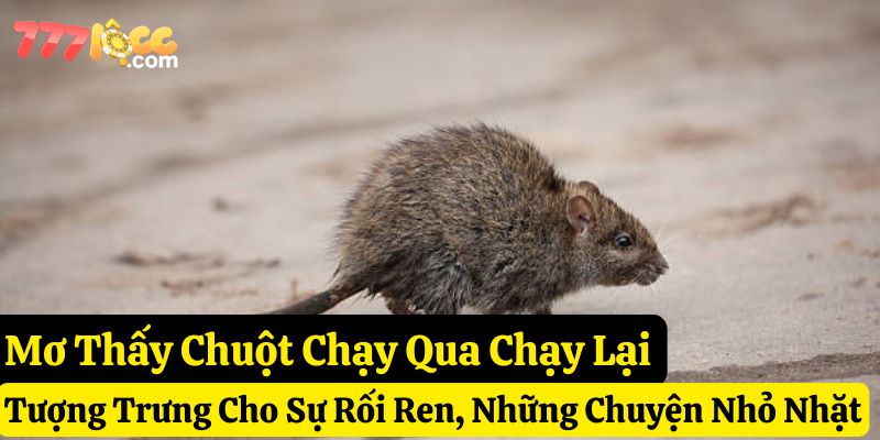 nằm mơ thấy chuột 777loc
