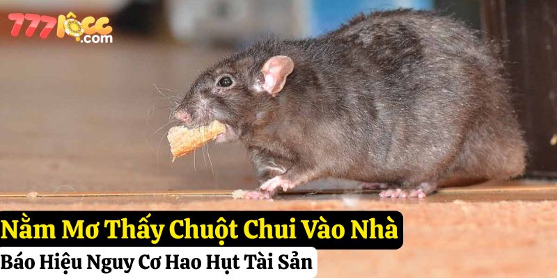 nằm mơ thấy chuột