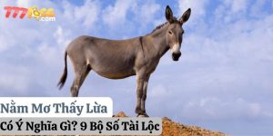 nằm mơ thấy lừa 777loc thumb