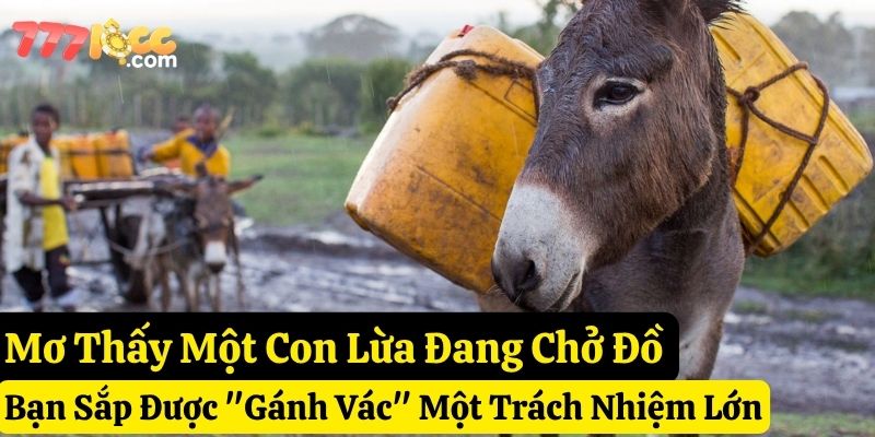 nằm mơ thấy lừa 777loc