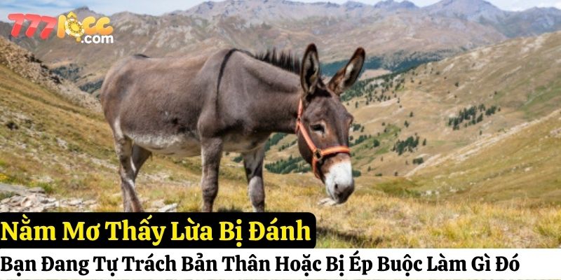 nằm mơ thấy lừa