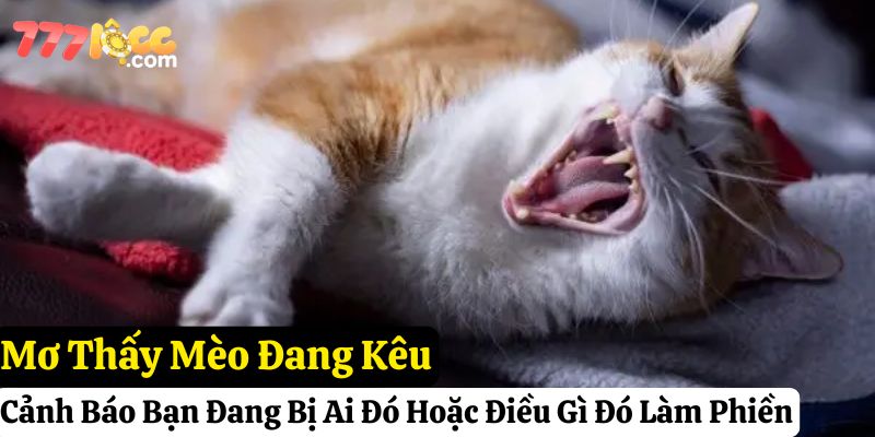 nằm mơ thấy mèo