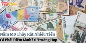 nằm mơ thấy rất nhiều tiền 777loc thumb