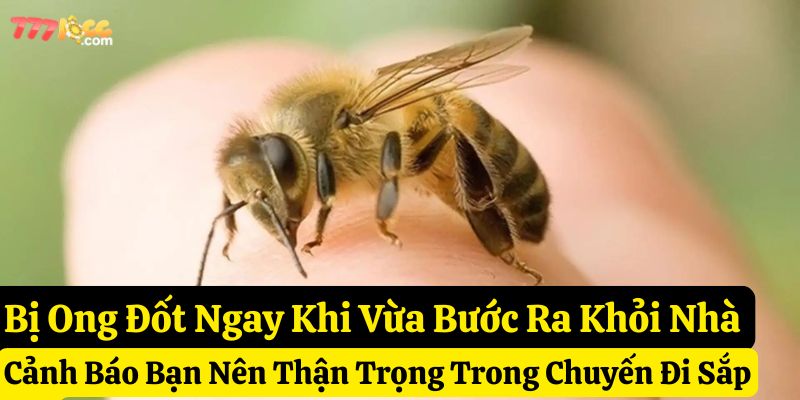 tự nhiên bị ong đốt đánh con gì 777loc