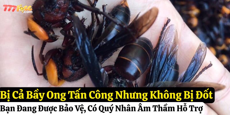tự nhiên bị ong đốt đánh con gì