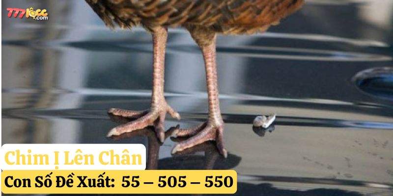 chim ị lên người 777loc