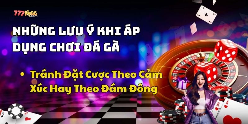 kinh nghiệm chơi đá gà 777loc