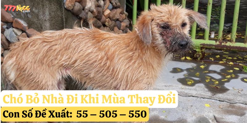 chó bỏ nhà đi 777loc