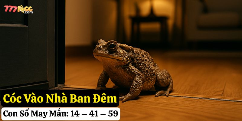 cóc vào nhà 777loc