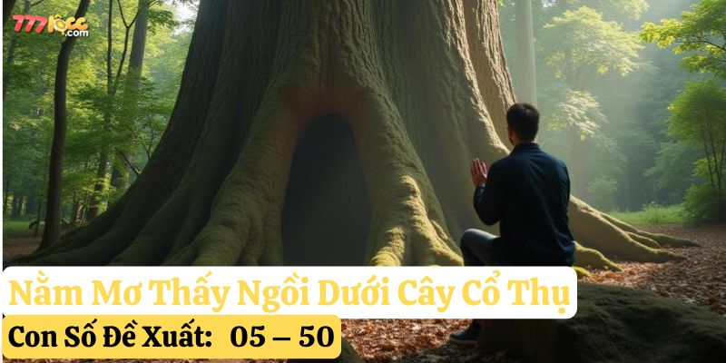 nằm mơ thấy cây cổ thụ 777loc