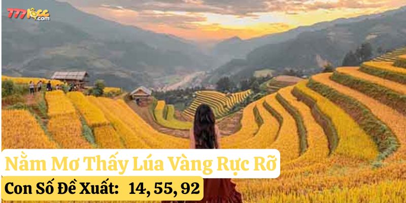 nằm mơ thấy lúa 777loc