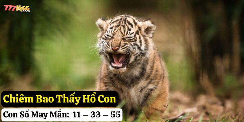 nằm mơ thấy hổ 777loc