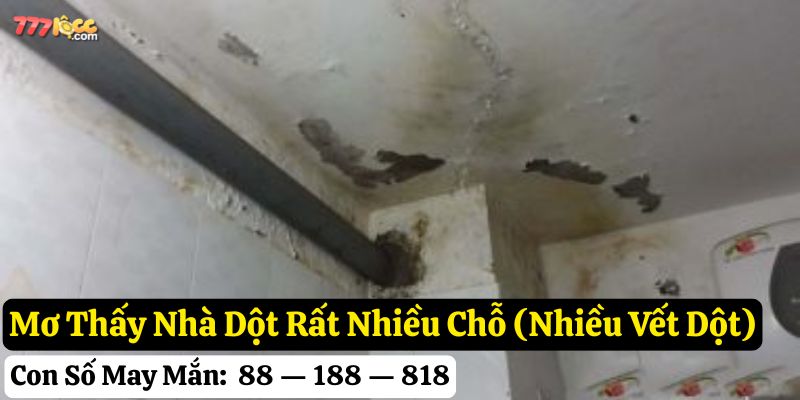 mơ thấy nhà dột 777loc