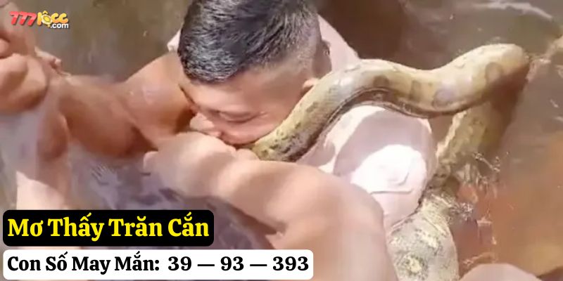 ngủ mơ thấy trăn 777loc