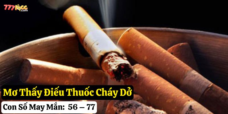nằm mơ thấy thuốc lá 777loc