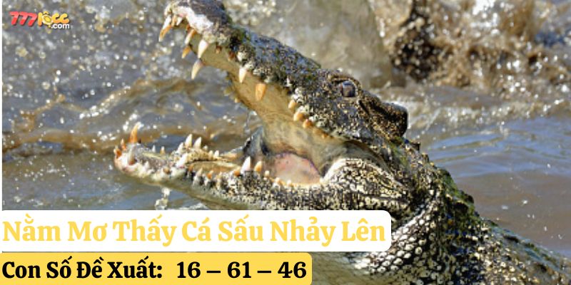 nằm mơ thấy cá sấu