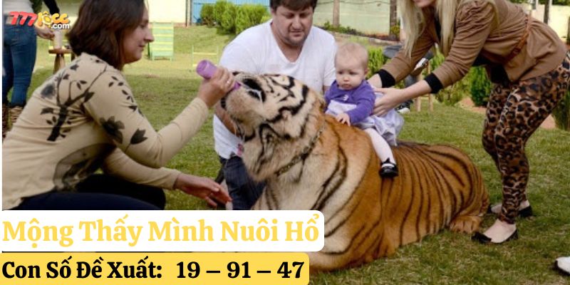 nằm mơ thấy hổ