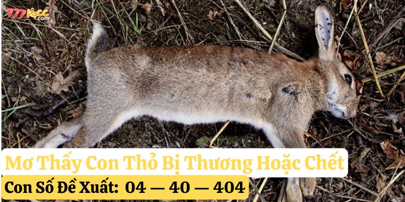 mơ thấy con thỏ