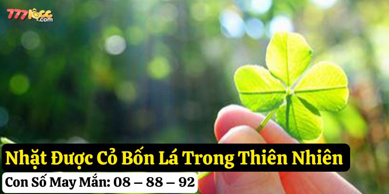nhặt được cỏ bốn lá