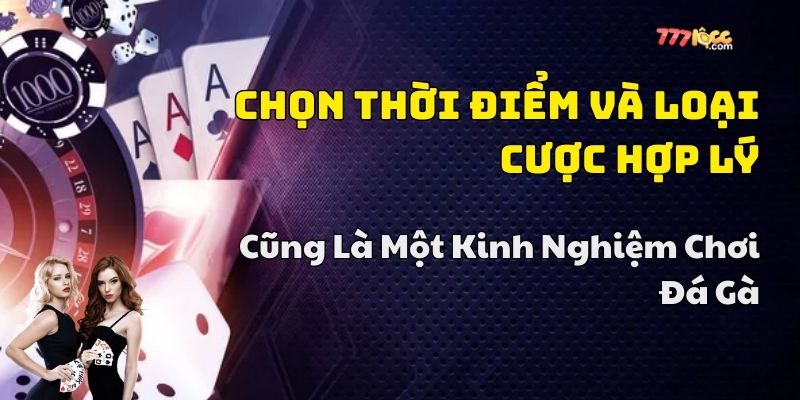 kinh nghiệm chơi đá gà hay
