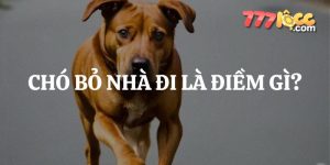 chó bỏ nhà đi 777loc thumb