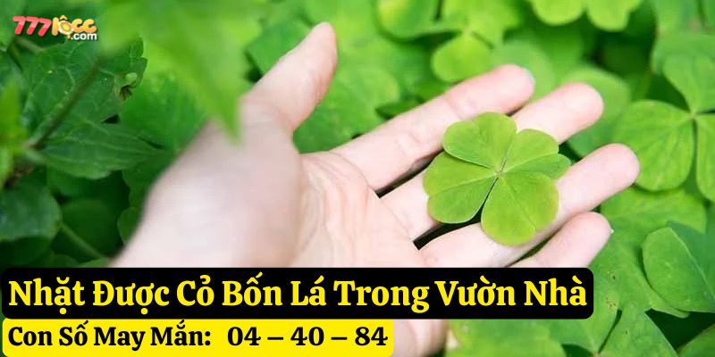 thấy nhặt được cỏ bốn lá